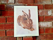 Albrecht durer hare for sale  GLOUCESTER