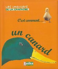 3922914 canard safia d'occasion  France