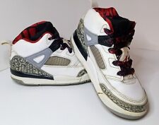 Jordan spizike sneakers for sale  Lenoir