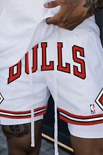 Chicago bulls retro gebraucht kaufen  Kaarst