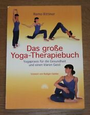 Große yoga therapiebuch gebraucht kaufen  Wildsteig