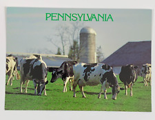 Pennsylvania holstein cows for sale  Tampa