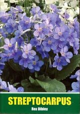 Streptocarpus by Dibley, Rex 0954446801 FREE Shipping for sale  Shipping to South Africa