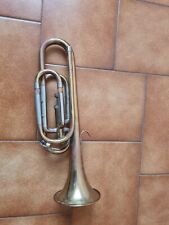 Natural trumpet antique usato  Amantea