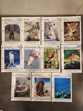 set fact file wildlife for sale  Indianapolis