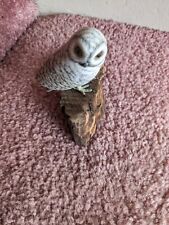 Snowy owl hand for sale  Waldorf