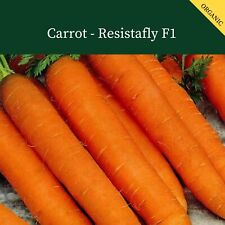 Carrot resistafly 400 for sale  SALISBURY