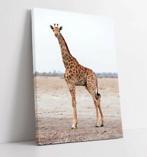 Giraffe large canvas for sale  Shipping to Ireland