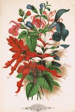 Vicks monthly botanical for sale  Epsom
