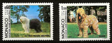 Monaco 1982 dogs for sale  STOKE-ON-TRENT