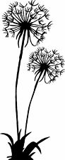 Wandaufkleber pusteblumen stie gebraucht kaufen  Blenkendorf