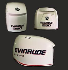 Adesivi evinrude etec usato  Palermo