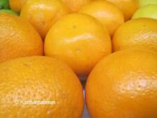 Citrus junos yuzu gebraucht kaufen  Wuppertal