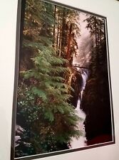 Waterfall forest 18x22 for sale  Ogden