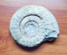 Ammonite fossile 345 d'occasion  Étampes