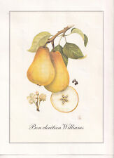 Reproductions planches fruits d'occasion  France