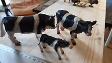 Mucche vitellino animali usato  Milano