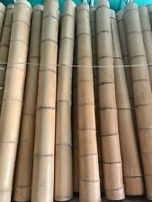 Bambusstange hell 10cm gebraucht kaufen  Ofterdingen