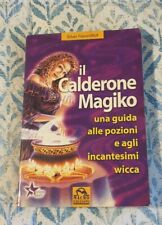 Calderone magiko silver usato  Roma