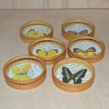Bamboo butterfly coasters for sale  BOSTON