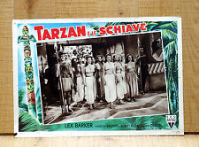 Tarzan schiave fotobusta usato  Torino