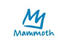 Mammoth adult ski for sale  Hayward