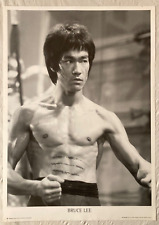 Bruce lee 1990s for sale  Niles