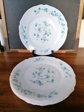 Assiettes plates veronica d'occasion  Saint-Julien-de-Concelles