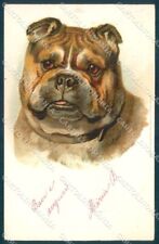 Cartolina animale bulldog usato  Italia