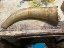 1907 hunting horn for sale  New Orleans