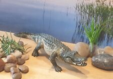 Schleich krokodil alligator gebraucht kaufen  Alsbach-Hähnlein