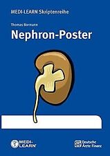 Nephron poster medi gebraucht kaufen  Berlin
