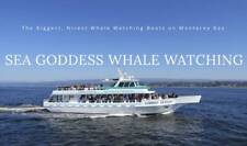 Whale watching cruise for sale  Shipping to Ireland