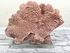 Nautical resin coral for sale  Henderson