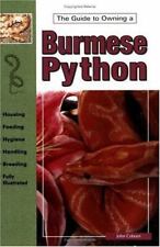 Burmese pythons john for sale  Johnsonville
