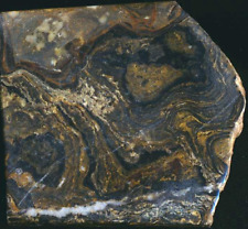 Stromatolith bolivien geschlif gebraucht kaufen  Bühl