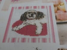 Chinese crested dog for sale  BASINGSTOKE