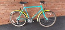 Raleigh lizzard green for sale  EXETER