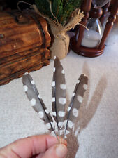 Woodpecker feathers for sale  Shipping to South Africa