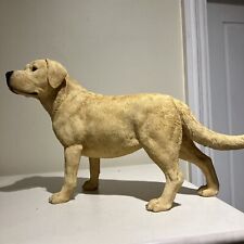 Extra large labrador for sale  BIRMINGHAM