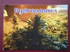 Postcard postcards hydroponics for sale  TADLEY