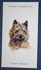 Cairn terrier vintage for sale  Shipping to Ireland
