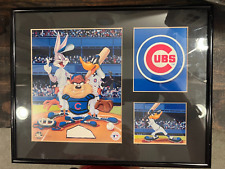 Chicago cubs looney for sale  Newnan