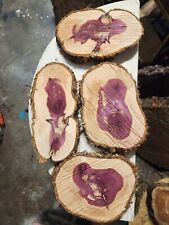 Red cedar live for sale  Osceola
