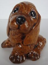 Cocker spaniel puppy for sale  Marshfield