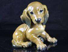 Rosenthal dachshund puppy for sale  Herndon