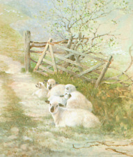 Hampshire sheep gate for sale  COLNE
