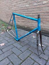 Frame detto pietro for sale  Shipping to Ireland