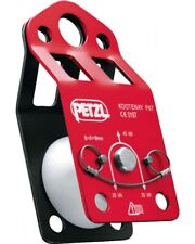 Petzl carrucola kootenay usato  Italia