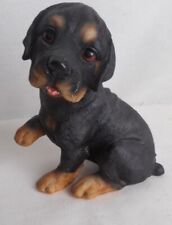 Rottweiler puppy dog for sale  Englewood